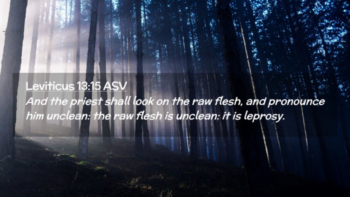 Picture 02 - Leviticus 13:15 ASV Desktop Wallpaper - And the priest shall look on the raw flesh, and - Desktop Bible Verse Wallpaper