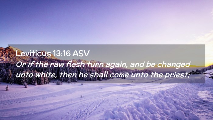Picture 02 - Leviticus 13:16 ASV Desktop Wallpaper - Or if the raw flesh turn again, and be changed - Desktop Bible Verse Wallpaper