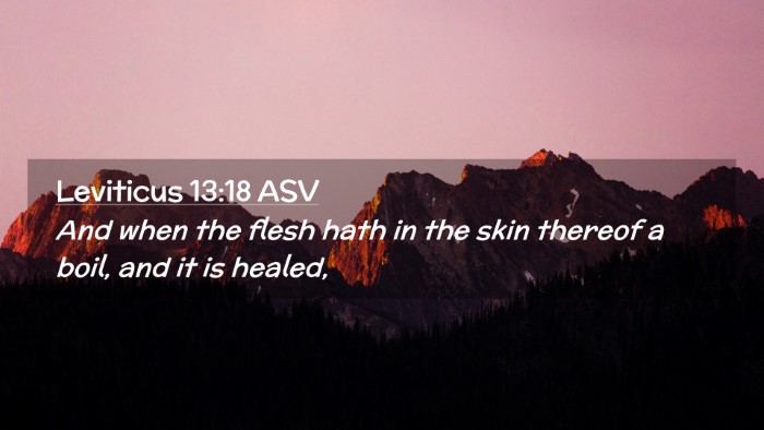 Picture 02 - Leviticus 13:18 ASV Desktop Wallpaper - And when the flesh hath in the skin thereof a - Desktop Bible Verse Wallpaper
