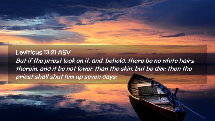 Picture 02 - Leviticus 13:21 ASV Desktop Wallpaper - But if the priest look on it, and, behold, there - Desktop Bible Verse Wallpaper