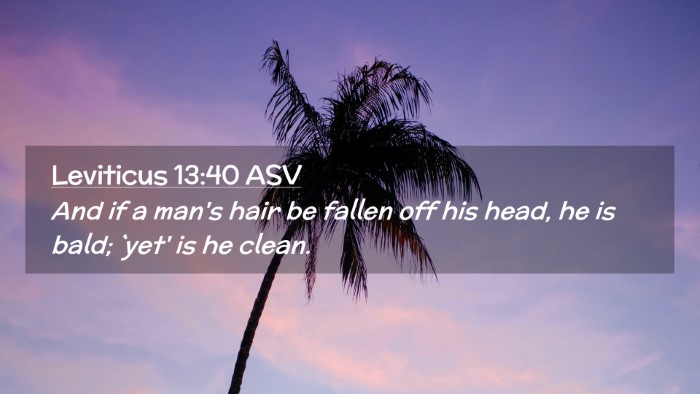 Picture 02 - Leviticus 13:40 ASV Desktop Wallpaper - And if a man's hair be fallen off his head, he is - Desktop Bible Verse Wallpaper