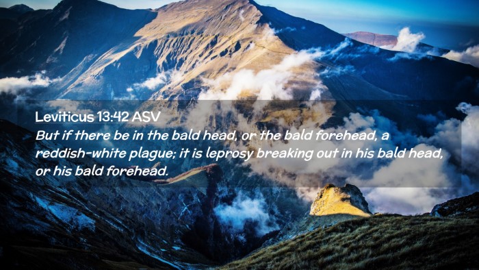Picture 02 - Leviticus 13:42 ASV Desktop Wallpaper - But if there be in the bald head, or the bald - Desktop Bible Verse Wallpaper