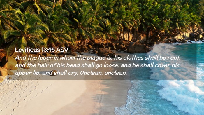 Picture 02 - Leviticus 13:45 ASV Desktop Wallpaper - And the leper in whom the plague is, his clothes - Desktop Bible Verse Wallpaper