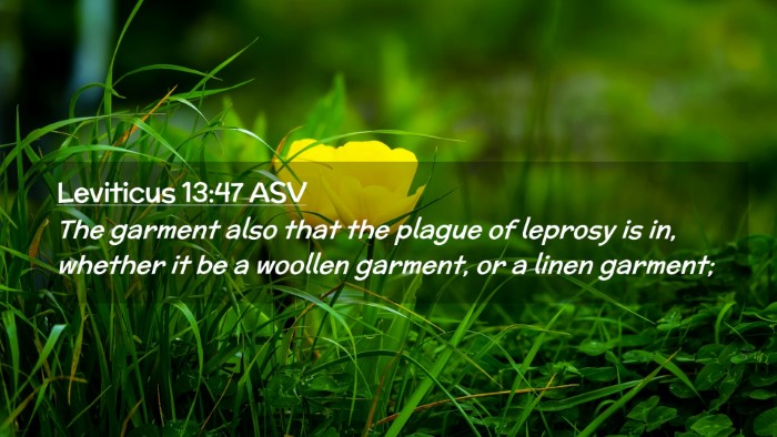 Picture 02 - Leviticus 13:47 ASV Desktop Wallpaper - The garment also that the plague of leprosy is - Desktop Bible Verse Wallpaper