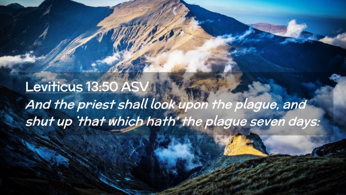 Picture 02 - Leviticus 13:50 ASV Desktop Wallpaper - And the priest shall look upon the plague, and - Desktop Bible Verse Wallpaper