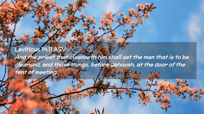 Picture 02 - Leviticus 14:11 ASV Desktop Wallpaper - And the priest that cleanseth him shall set the - Desktop Bible Verse Wallpaper