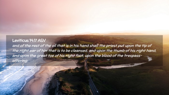 Picture 02 - Leviticus 14:17 ASV Desktop Wallpaper - and of the rest of the oil that is in his hand - Desktop Bible Verse Wallpaper