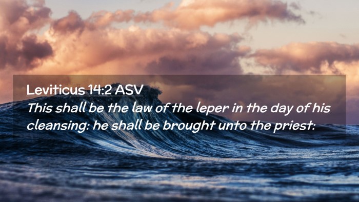 Picture 02 - Leviticus 14:2 ASV Desktop Wallpaper - This shall be the law of the leper in the day of - Desktop Bible Verse Wallpaper