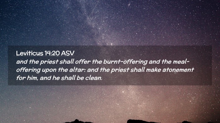 Picture 02 - Leviticus 14:20 ASV Desktop Wallpaper - and the priest shall offer the burnt-offering and - Desktop Bible Verse Wallpaper
