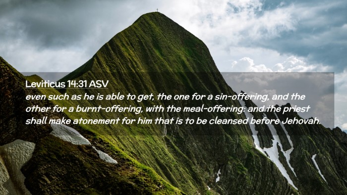 Picture 02 - Leviticus 14:31 ASV Desktop Wallpaper - even such as he is able to get, the one for a - Desktop Bible Verse Wallpaper