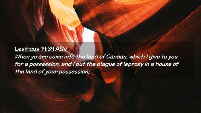 Picture 02 - Leviticus 14:34 ASV Desktop Wallpaper - When ye are come into the land of Canaan, which I - Desktop Bible Verse Wallpaper