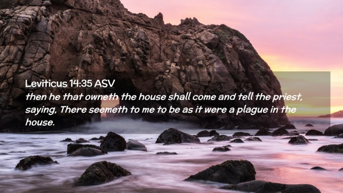 Picture 02 - Leviticus 14:35 ASV Desktop Wallpaper - then he that owneth the house shall come and tell - Desktop Bible Verse Wallpaper