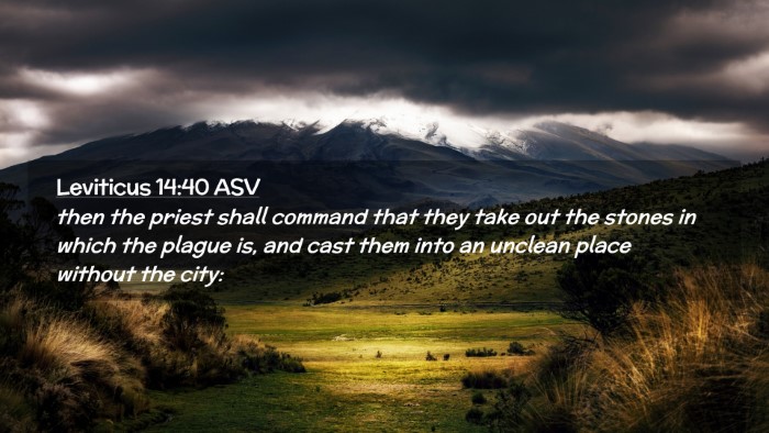 Picture 02 - Leviticus 14:40 ASV Desktop Wallpaper - then the priest shall command that they take out - Desktop Bible Verse Wallpaper