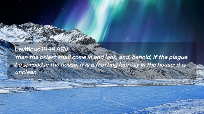 Picture 02 - Leviticus 14:44 ASV Desktop Wallpaper - then the priest shall come in and look; and, - Desktop Bible Verse Wallpaper