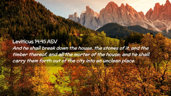 Picture 02 - Leviticus 14:45 ASV Desktop Wallpaper - And he shall break down the house, the stones of - Desktop Bible Verse Wallpaper