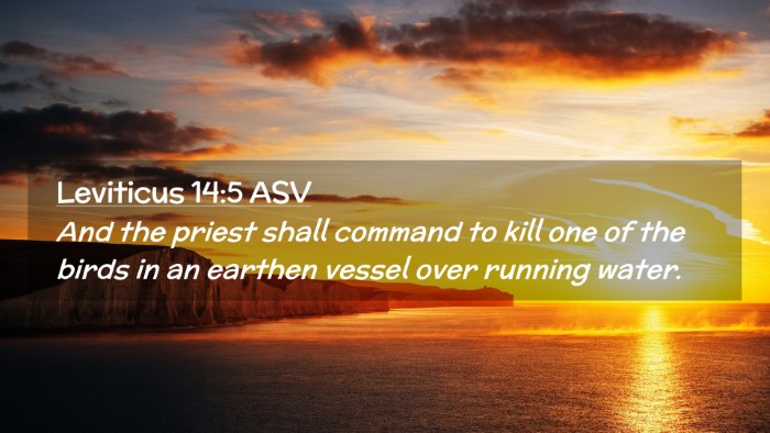 Picture 02 - Leviticus 14:5 ASV Desktop Wallpaper - And the priest shall command to kill one of the - Desktop Bible Verse Wallpaper