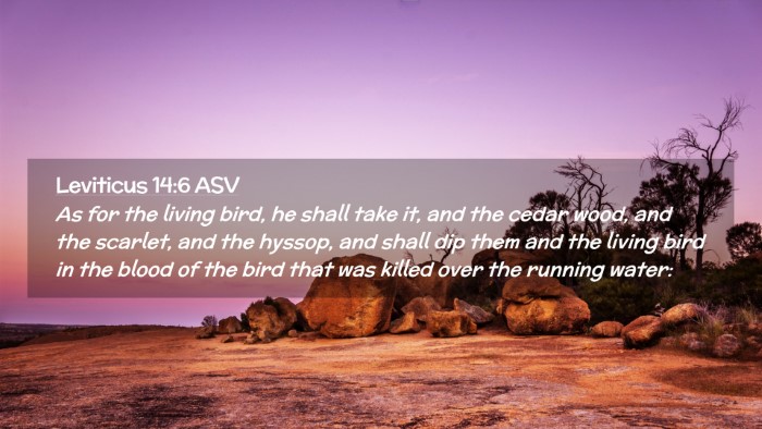 Picture 02 - Leviticus 14:6 ASV Desktop Wallpaper - As for the living bird, he shall take it, and the - Desktop Bible Verse Wallpaper