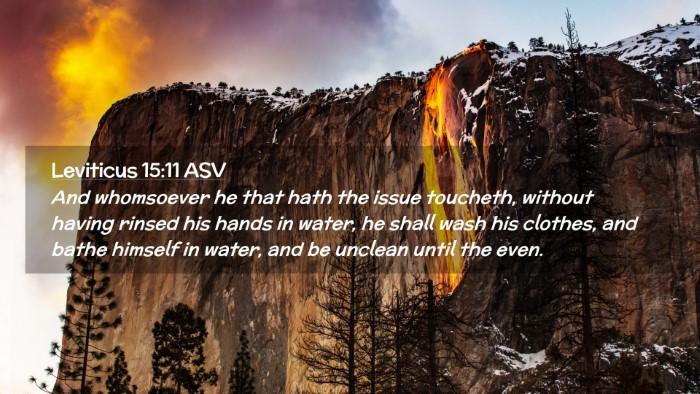 Picture 02 - Leviticus 15:11 ASV Desktop Wallpaper - And whomsoever he that hath the issue toucheth, - Desktop Bible Verse Wallpaper