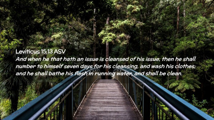 Picture 02 - Leviticus 15:13 ASV Desktop Wallpaper - And when he that hath an issue is cleansed of his - Desktop Bible Verse Wallpaper