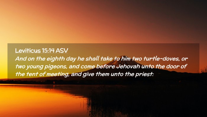 Picture 02 - Leviticus 15:14 ASV Desktop Wallpaper - And on the eighth day he shall take to him two - Desktop Bible Verse Wallpaper