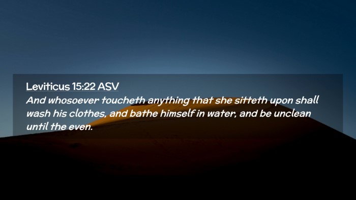 Picture 02 - Leviticus 15:22 ASV Desktop Wallpaper - And whosoever toucheth anything that she sitteth - Desktop Bible Verse Wallpaper