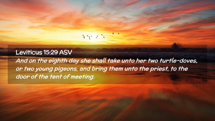 Picture 02 - Leviticus 15:29 ASV Desktop Wallpaper - And on the eighth day she shall take unto her two - Desktop Bible Verse Wallpaper