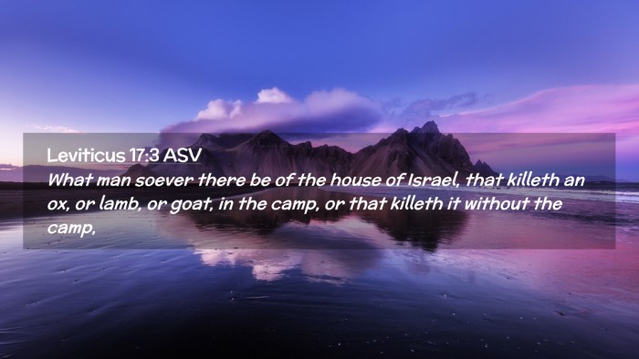 Picture 02 - Leviticus 17:3 ASV Desktop Wallpaper - What man soever there be of the house of Israel, - Desktop Bible Verse Wallpaper