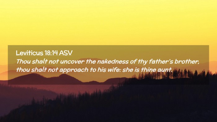 Picture 02 - Leviticus 18:14 ASV Desktop Wallpaper - Thou shalt not uncover the nakedness of thy - Desktop Bible Verse Wallpaper