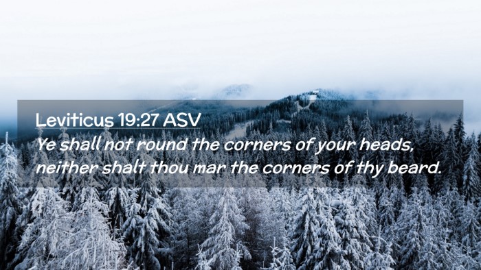 Picture 02 - Leviticus 19:27 ASV Desktop Wallpaper - Ye shall not round the corners of your heads, - Desktop Bible Verse Wallpaper