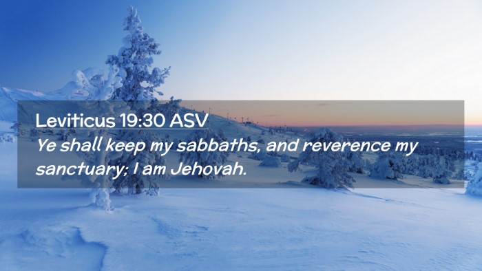 Picture 02 - Leviticus 19:30 ASV Desktop Wallpaper - Ye shall keep my sabbaths, and reverence my - Desktop Bible Verse Wallpaper