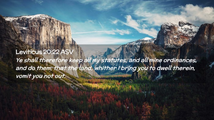 Picture 02 - Leviticus 20:22 ASV Desktop Wallpaper - Ye shall therefore keep all my statutes, and all - Desktop Bible Verse Wallpaper