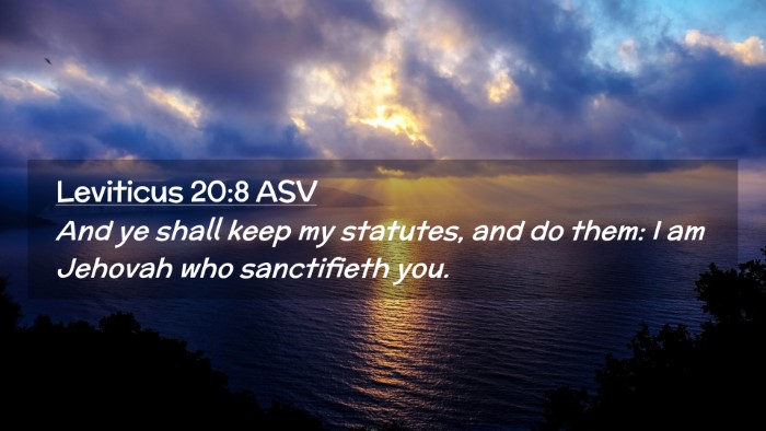 Picture 02 - Leviticus 20:8 ASV Desktop Wallpaper - And ye shall keep my statutes, and do them: I am - Desktop Bible Verse Wallpaper