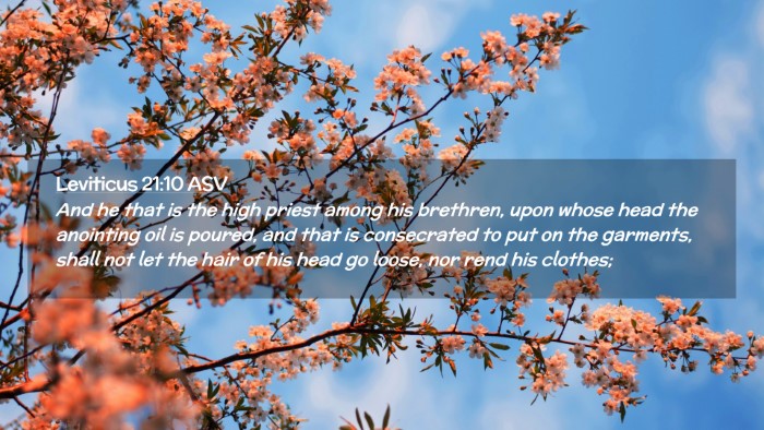 Picture 02 - Leviticus 21:10 ASV Desktop Wallpaper - And he that is the high priest among his - Desktop Bible Verse Wallpaper