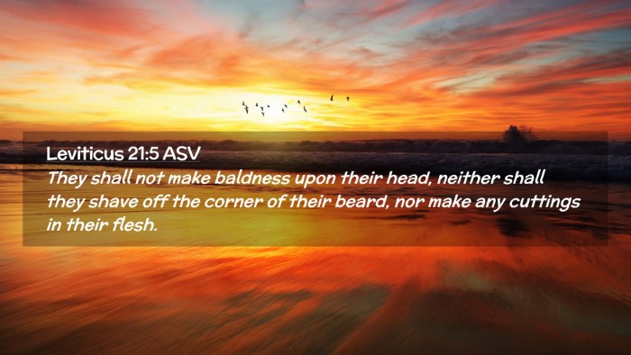 Picture 02 - Leviticus 21:5 ASV Desktop Wallpaper - They shall not make baldness upon their head, - Desktop Bible Verse Wallpaper