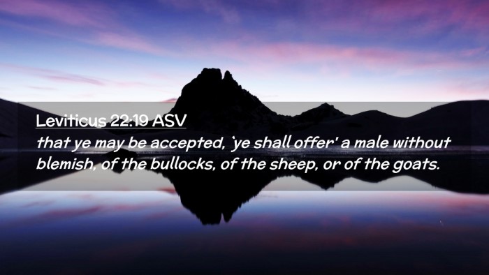Picture 02 - Leviticus 22:19 ASV Desktop Wallpaper - that ye may be accepted, `ye shall offer' a male - Desktop Bible Verse Wallpaper