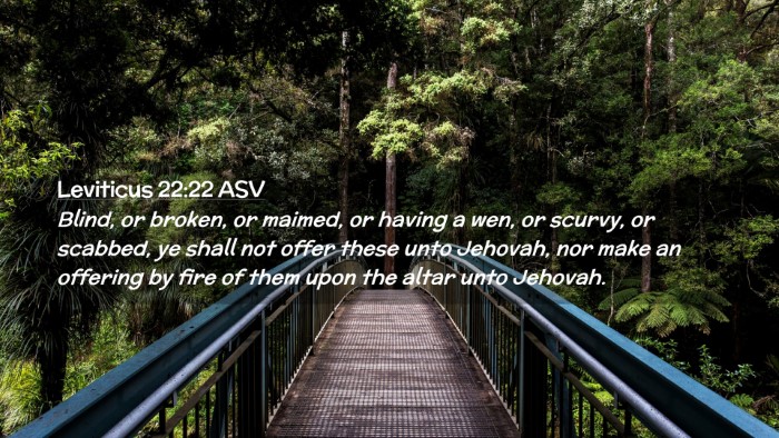 Picture 02 - Leviticus 22:22 ASV Desktop Wallpaper - Blind, or broken, or maimed, or having a wen, or - Desktop Bible Verse Wallpaper
