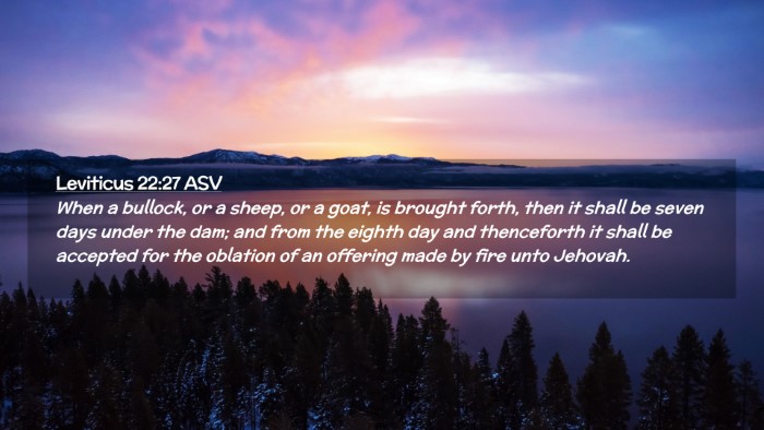 Picture 02 - Leviticus 22:27 ASV Desktop Wallpaper - When a bullock, or a sheep, or a goat, is brought - Desktop Bible Verse Wallpaper