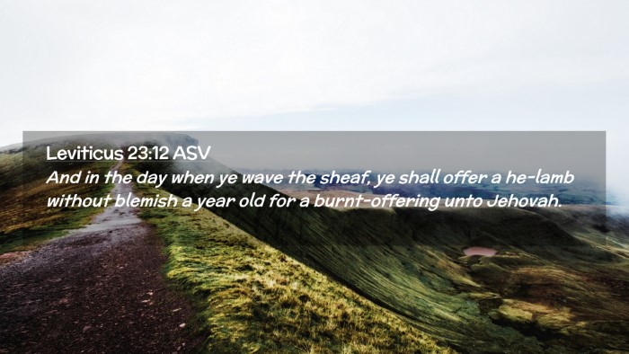 Picture 02 - Leviticus 23:12 ASV Desktop Wallpaper - And in the day when ye wave the sheaf, ye shall - Desktop Bible Verse Wallpaper