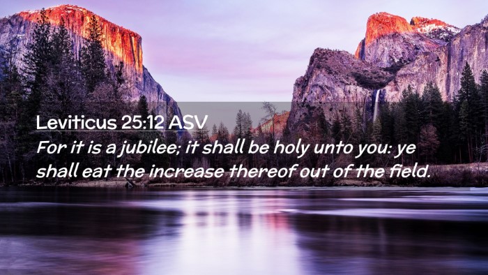 Picture 02 - Leviticus 25:12 ASV Desktop Wallpaper - For it is a jubilee; it shall be holy unto you: - Desktop Bible Verse Wallpaper
