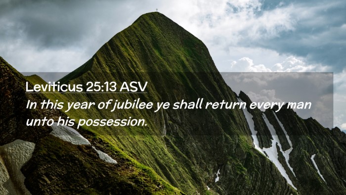 Picture 02 - Leviticus 25:13 ASV Desktop Wallpaper - In this year of jubilee ye shall return every man - Desktop Bible Verse Wallpaper