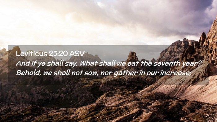 Picture 02 - Leviticus 25:20 ASV Desktop Wallpaper - And if ye shall say, What shall we eat the - Desktop Bible Verse Wallpaper