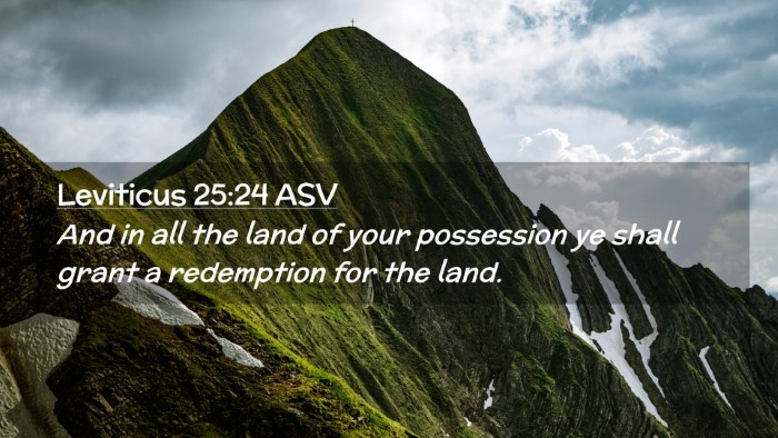 Picture 02 - Leviticus 25:24 ASV Desktop Wallpaper - And in all the land of your possession ye shall - Desktop Bible Verse Wallpaper