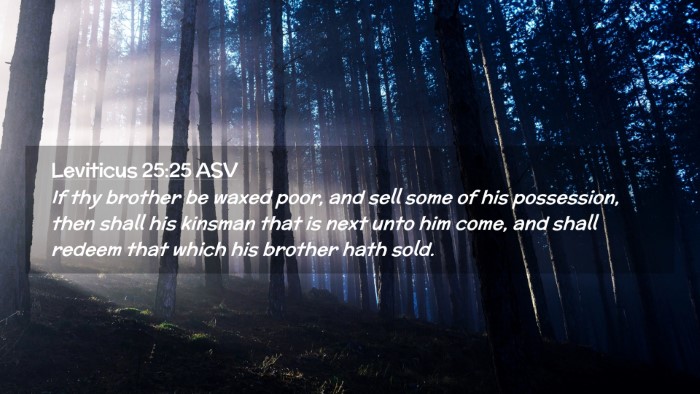 Picture 02 - Leviticus 25:25 ASV Desktop Wallpaper - If thy brother be waxed poor, and sell some of - Desktop Bible Verse Wallpaper