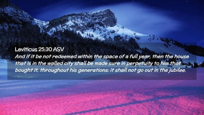 Picture 02 - Leviticus 25:30 ASV Desktop Wallpaper - And if it be not redeemed within the space of a - Desktop Bible Verse Wallpaper