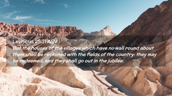 Picture 02 - Leviticus 25:31 ASV Desktop Wallpaper - But the houses of the villages which have no wall - Desktop Bible Verse Wallpaper