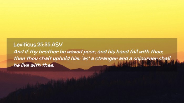 Picture 02 - Leviticus 25:35 ASV Desktop Wallpaper - And if thy brother be waxed poor, and his hand - Desktop Bible Verse Wallpaper