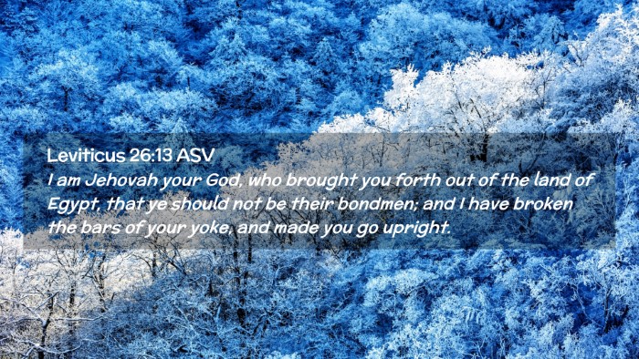 Picture 02 - Leviticus 26:13 ASV Desktop Wallpaper - I am Jehovah your God, who brought you forth out - Desktop Bible Verse Wallpaper