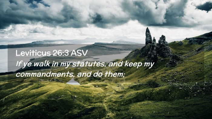 Picture 02 - Leviticus 26:3 ASV Desktop Wallpaper - If ye walk in my statutes, and keep my - Desktop Bible Verse Wallpaper