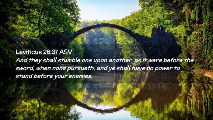 Picture 02 - Leviticus 26:37 ASV Desktop Wallpaper - And they shall stumble one upon another, as it - Desktop Bible Verse Wallpaper