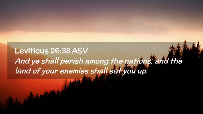 Picture 02 - Leviticus 26:38 ASV Desktop Wallpaper - And ye shall perish among the nations, and the - Desktop Bible Verse Wallpaper